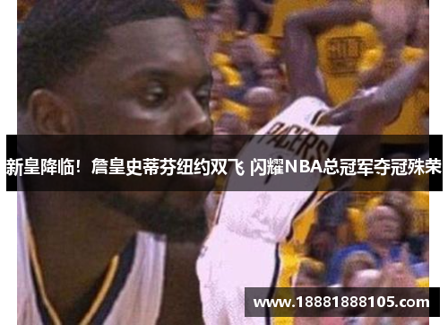 新皇降临！詹皇史蒂芬纽约双飞 闪耀NBA总冠军夺冠殊荣